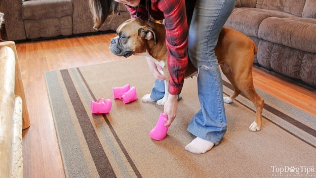 Picture of: DIY Dog Boots: How To Make Them Without Sewing