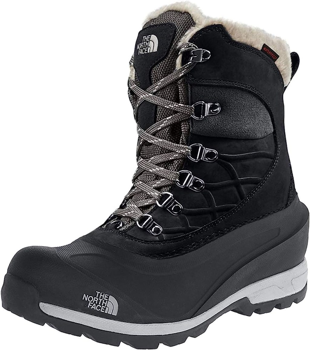 Picture of: THE NORTH FACE Chilkat  Boot – Women’s