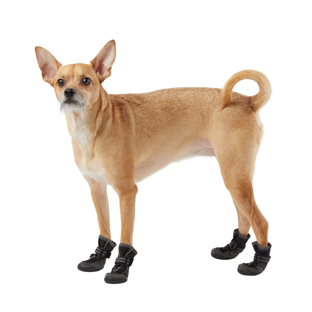 Picture of: Top Paw® Outdoor Dog Booties